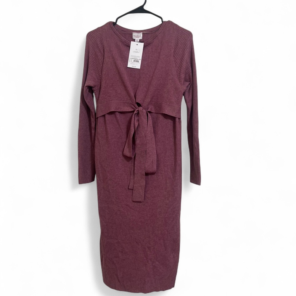Isabel by Ingrid & Isabel Elegant Mauve Pre-Pregnancy Stretchable Knit Dress